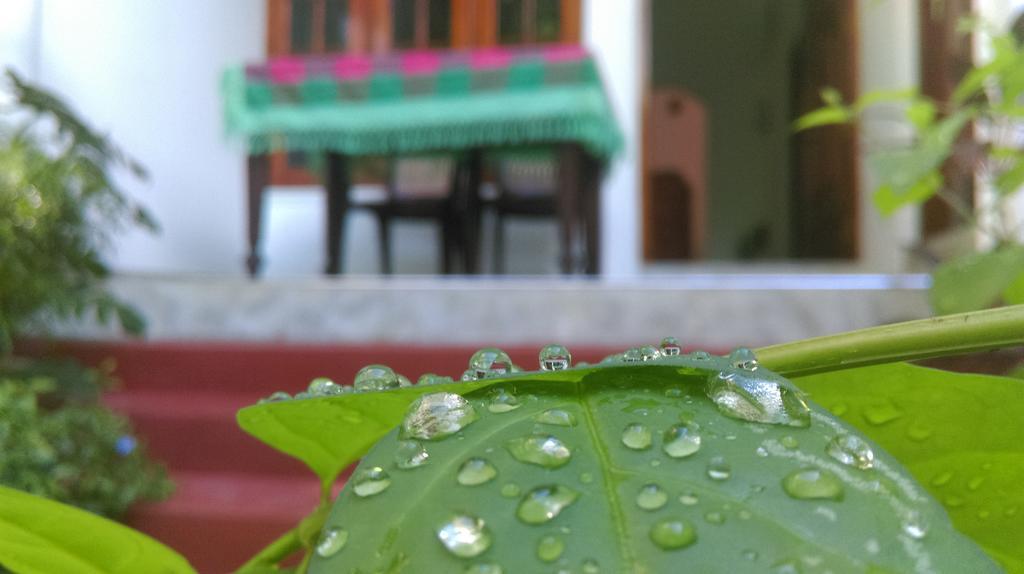 Aluthgedara Guest House Unawatuna Buitenkant foto