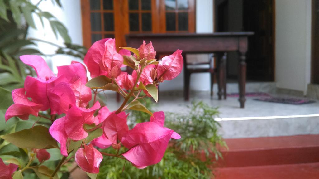 Aluthgedara Guest House Unawatuna Buitenkant foto